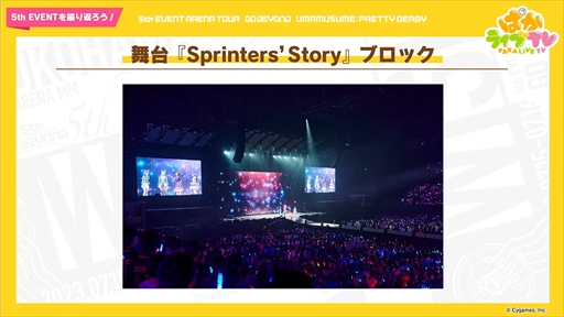 ���������꡼ No.022�Υ���ͥ������ / ��������Υ����ͥ���������ȥ�����󥹥��������о졣�֥���̼ �ץ�ƥ��������ӡ��פѤ��饤��TV Vol.31�ޤȤ�