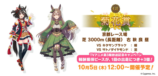 ꡼ No.017 | 绰Ϻ󤫤餪椬Ϥ ֥̼׸ȡ֤Ѥ饤TV Vol.33פǥץ饤