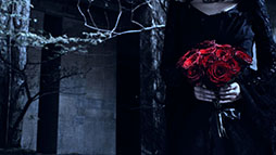 ���������꡼ No.008�Υ���ͥ������ / �֥���̼�ס�����80Ϣ������̵����ޤ��Gray Week�����ڡ���פ򳫻ϡ����˥�֤��ޤ�� �פ�Ƥ������줤�פ��ۿ��⥹������