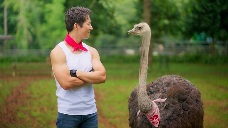 ���������꡼ No.008�Υ���ͥ������ / �֥���̼ �ץ�ƥ��������ӡ��ס������󡦥���������Ȱ��˥������������Ǥ���ư��ȥ�����'s �����륢�åץ������ɡɤ����