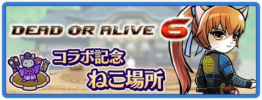 ꡼ No.007 | ֤Τ֥˥㤬˾ ˥פꡪסDEAD OR ALIVE 6פȤΥܤ29˥