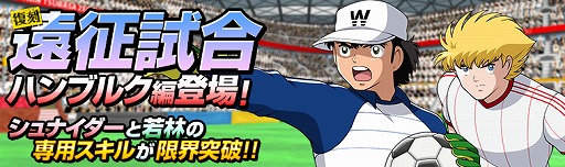 ꡼ No.008Υͥ / ֥ץƥZEROס3ȥ를 Хɤо졣3ﳫŤ