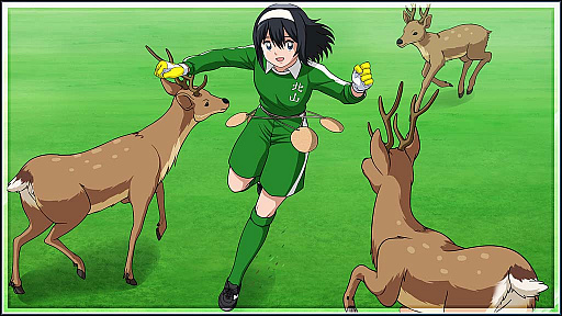 ꡼ No.010 | ֥ץƥZEROס꡼283ʥĥХǰ28313祭ڡ׳