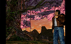 ꡼ No.012 | 褤轵ȯΡ֥ࡼ IIIסꥸʥǤβ䤢餹оʪʤɤ򤪤餤ǤȤޤȤɤ