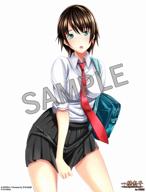 画像ギャラリー No.010のサムネイル画像 / 「一騎当千 〜Straight Striker〜 for DMM」の事前登録を受付中。25日14:00まで