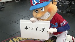 ꡼ No.005 | ֥եߥ ܥ塼׿ܥץ쥹ȤΥܴ褬