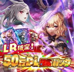 ꡼ No.003Υͥ / ֥ƥNEOס50DLǰ̥ܡʥ614곫