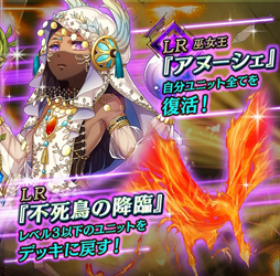 ꡼ No.002 | ֥ƥNEOס־߹ۺѤߥǥåפ䳫