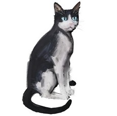 ���������꡼ No.009�Υ���ͥ������ / WWI�������ADV��11-11�ʥ���֥� ����֥�ˡס����ʥ��ͤ���쥫���ޥ󡦥ϥ꡼��ɥ��Ŀͤε��ա�����Ȥʤ��о쥭���γ��פ�����