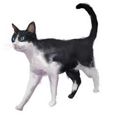 ���������꡼ No.010�Υ���ͥ������ / WWI�������ADV��11-11�ʥ���֥� ����֥�ˡס����ʥ��ͤ���쥫���ޥ󡦥ϥ꡼��ɥ��Ŀͤε��ա�����Ȥʤ��о쥭���γ��פ�����