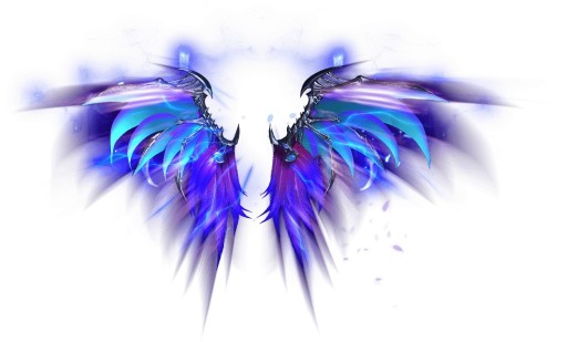 ꡼ No.002 | ֥ɥ饴󥢥ס°οǽƳɤåץǡȵǰ٥Ȥ