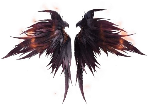 ꡼ No.009 | ֥ɥ饴󥢥ס°οǽƳɤåץǡȵǰ٥Ȥ