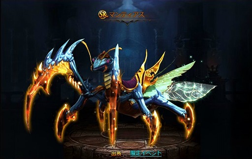 ꡼ No.011 | ֥ɥ饴󥢥סǽʡɤåץǡȵǰ٥ȤⳫ