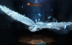 ꡼ No.004 | ֥ɥ饴󥢥פֲФ򽸤륤٥ȡȲƺפꡪԤβֲ񡪡ɤ