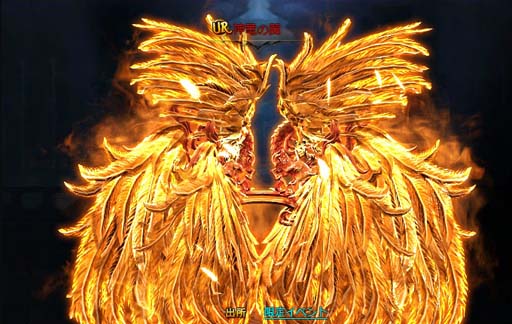 ꡼ No.006 | ֥ɥ饴󥢥ס߱٥Ȥ˿Ϲεо졣ϿԱ祭ڡⳫ