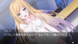 ꡼ No.007 | ƥåɥ٥㡼֥ǥ ʤȤ֡סPS Vita75ȯ