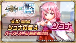 ꡼ No.005 | ֥󥿥ʥRפǥ˥ž饹饤äפȤΥܤ