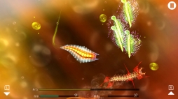 ꡼ No.003 | ǤʿʪƤ褦Nintendo SwitchեȡֿʲΤҤߤġפ517ۿ