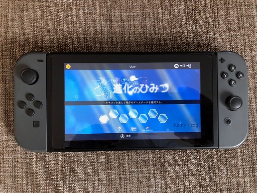 ꡼ No.008 | ֿʲΤҤߤġסSwitchۿϡȥ館륭ڡ󤬳