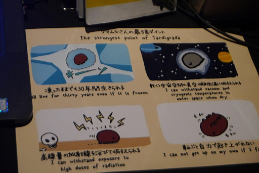 ꡼ No.030 | BitSummit Vol.6פܥǥ10ܤҲPS4ѥåACT䥯ޥॷ楢ץꡤˤ󥫤PCʤ