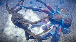 ꡼ No.040 | BitSummit Vol.6פܥǥ10ܤҲPS4ѥåACT䥯ޥॷ楢ץꡤˤ󥫤PCʤ