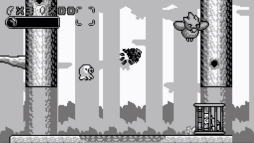 ꡼ No.004 | ܡؤΥޡ夬줿ADVֽƥפNintendo SwitchǤ1129ۿ