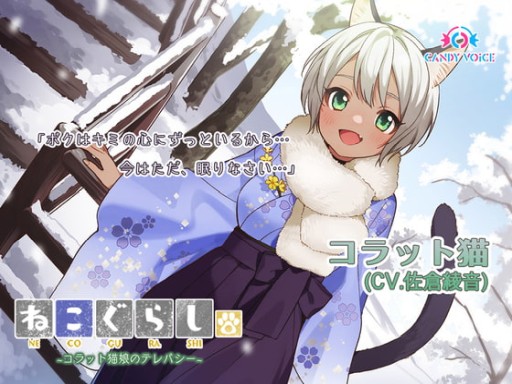 ꡼ No.005 | DLSiteΥޡ뤬ϡ֥󥲡ĥMV65󥪥դʤ