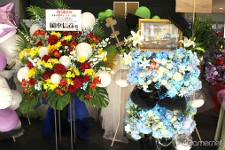 ꡼ No.002 | 3ǯ֤ͭѵҡȥѳŤ˥ե󴿴˥塼ե¿Ť֥ȥᥤȥѡƥ202294ݡ