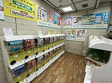 画像ギャラリー No.003のサムネイル画像 / 独占コメント&写真あり! 「アルゴナビス from BanG Dream! AAside ナビストリーム〜AGF出張版〜」レポート