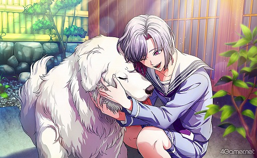 ꡼ No.043 | ֥֥ץȡ꡼ҲϢܥȡ1ϡᥤ󥹥ȡ꡼1ϡ3ϡƥХɥ٥Ȥ