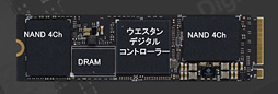 ꡼ No.007Υͥ / WD Black NVMe SSDץӥ塼Western DigitalȼȥܤΡ֥ޡSSDפ㤤