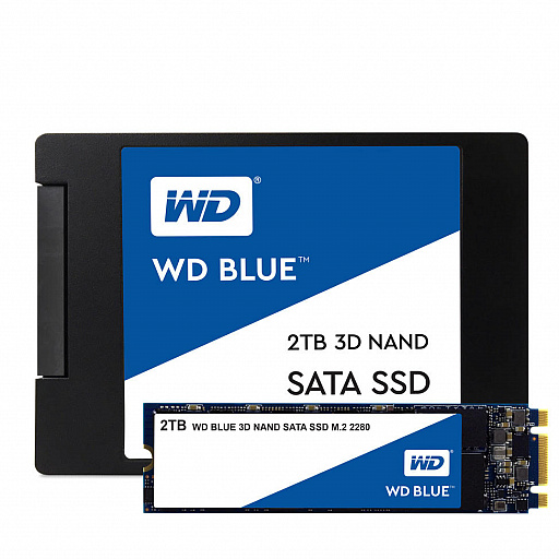 Western Digital SATA SSD 容量 1TB WD Blue