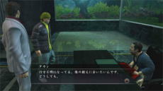 ꡼ No.008 | PS4ǡζǡ4 ѤΡס4ͤμ͸줾Υ֥ȡ꡼