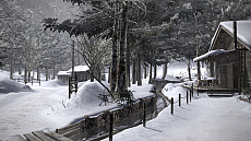 ���������꡼ No.014�Υ���ͥ������ / PS4�ǡ�ζ��ǡ��5��̴���𤨤��ԡס������ǡ֥��ʥ����ɥ�ޡפξܺ٤���������͸������������ߥ˥�������̤��Ƴڤ����