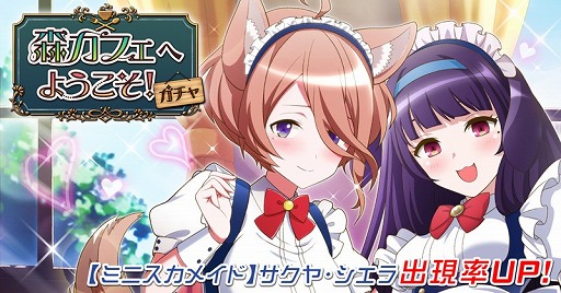 ꡼ No.002 | ֥ȥꥫ åץޡסᥤɻѤΥȥ餬о줹륤٥Ȥ򳫺