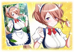 ꡼ No.007 | ֥ȥꥫ åץޡסᥤɻѤΥȥ餬о줹륤٥Ȥ򳫺