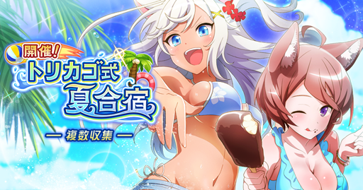 ꡼ No.001Υͥ / ֥ȥꥫ åץޡס٥ȡֳšȥꥫƹɡפ815˥