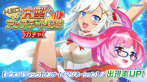 ꡼ No.002 | ֥ȥꥫ åץޡס緿åץǡȤǰƤޤޤʥ٥Ȥ