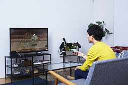 ꡼ No.022Υͥ / ꡼Կ֥ݥåȥ󥹥 Let's GO ԥ奦֥פȯɽPok&#00233;mon GOפȤϢưѥǥХ餫