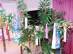 画像ギャラリー No.002のサムネイル画像 / 「劇場版ポケットモンスター みんなの物語」公開記念のイベント開催。ピカチュウとイーブイが,モデルの久間田琳加さんや女子高生15人と一緒に原宿を練り歩いた