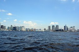 画像ギャラリー No.012のサムネイル画像 / 「ピカチュウ大量発生チュウ!」に先駆けて,「ピカチュウ」ラッピングの水陸両用バスが7月21日から運行。試乗会の模様をレポート