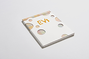 画像ギャラリー No.005のサムネイル画像 / イーブイ&進化形9匹がクリエイター9組とコラボ。「Evs+cafe」(イーブイズ プラス カフェ)が六本木で9月1日から期間限定オープン