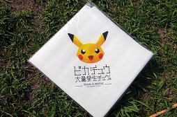 ꡼ No.013Υͥ / ԥ奦ǯߤʤȤߤ餤ˤäƤ֥ԥ奦ȯ奦 SCIENCE IS AMAZING ΤäƤץݡ