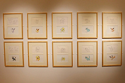 画像ギャラリー No.006のサムネイル画像 / イーブイとその進化形ポケモンをフィーチャーした「EVs+cafe」が期間限定でオープン。杉森 建氏のアートボードや,イーブイモチーフのアート作品を間近で楽しもう