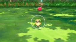 ꡼ No.011 | ֥ݥåȥ󥹥 Let's Go! ԥ奦Let's Go! ֥ץץ쥤ݡȡΥȡˡݥ󥲥åȤϤ褦