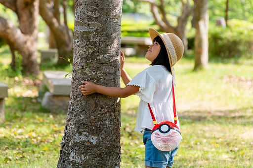 ���������꡼ No.004�Υ���ͥ������ / ��󥹥����ܡ���ε�����Ƹ���������֥�󥹥����ܡ��� ����פ��о졣6��1�����ͽ����դ�����