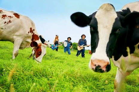 ꡼ No.003 | WORKWORKפΥơ޶ʤ˥åХɡǼƱפ