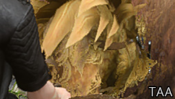 ꡼ No.091Υͥ / GeForce RTX 2080 TiסGeForce RTX 2080ץӥ塼쥤ȥAIбοGPUϡ®װʾβͤ󶡤Ǥ뤫