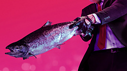 ꡼ No.008 | IO Interactiveοƥ륹֥ҥåȥޥ2פ2018ǯ1113˥꡼ܹǤȯ