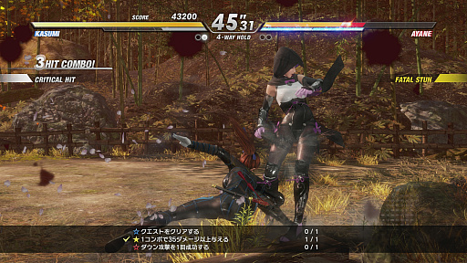 画像ギャラリー No.010のサムネイル画像 / 「DEAD OR ALIVE 6」は“みんなが遊べる対戦格闘ゲーム“と“世界一のエンターテイメント”を目指す。新堀洋平プロデューサーへのインタビュー